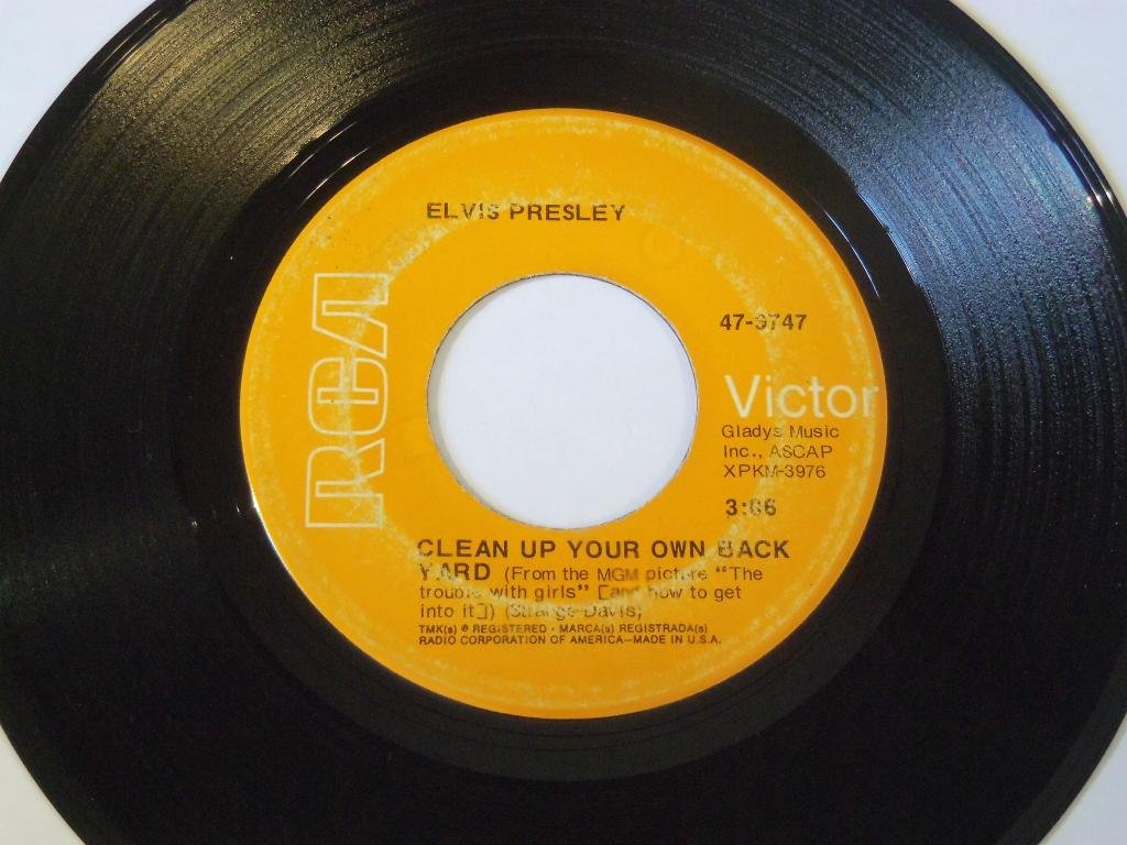 Elvis Presley Clean Up Your Own Back Yard The Fair Is Moving
