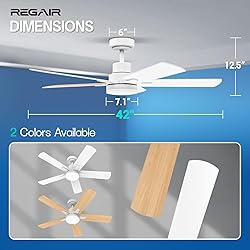 Ceiling Fan With Light 42-Inch, Remote Control
