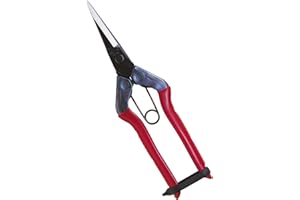 Chikamasa Bud Shears T-550 (Japan Import)