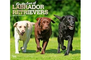 For the Love of Labrador Retrievers | 2026 14 x 24 Inch (Hanging) Monthly Deluxe Wall Calendar | Foil Stamped Cover | Plastic
