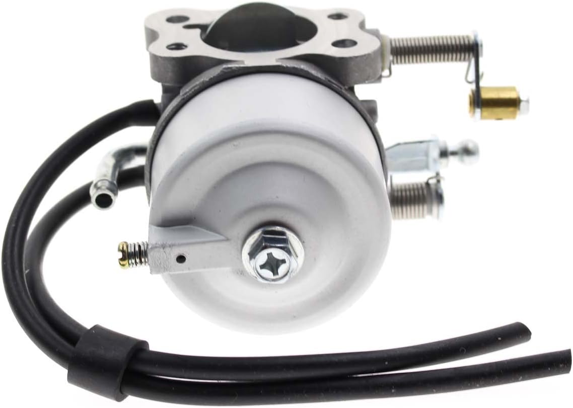 Carbhub 295cc Carburetor for EZ-GO Marathon Medalist TXT 4-Cycle Golf Carts 1991-up with 295cc Engines 26645-G01, 26645-G03, 26645-G04, 72558-G02, 72558-G03, 26726-G01, 26727-G01, 603901 17553: Automotive