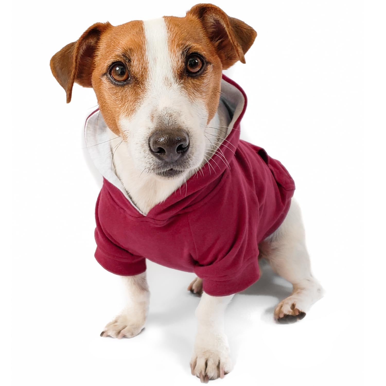 DJANGO Burgundy Red Dog Winter Hoodie - Soft, Stretchy, Warm & Cozy - Medium Size - Machine Washable