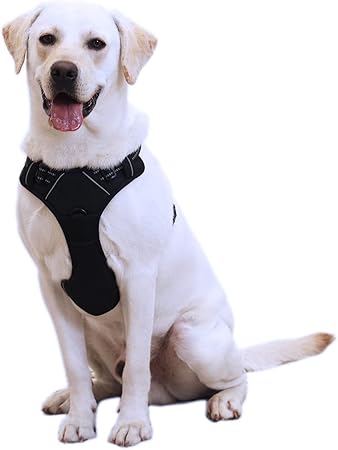 amazon dog harness with handle