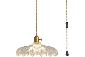Oyisen Plug in Pendant Light, Clear Glass Shade Hanging Light, Industrial Pendant Light for Entryway, Dinning Room Lighting Fixture, Bedroom, Kitchen Island