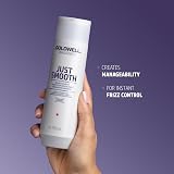 Goldwell Dualsenses Just Smooth Taming Shampoo 250ml Anti Frizz Hair Care view 4