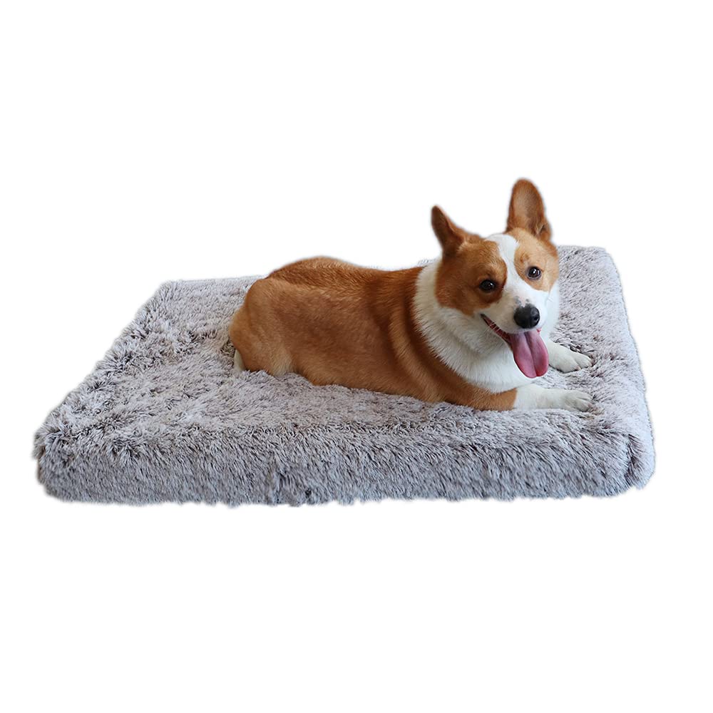 TMbsfatn Dog Bed Memory Foam Orthopedic Dog Bed Removable Washable Petcage pad box pad (75-50-10CM) โ image 1