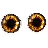 teddy bear eye replacement