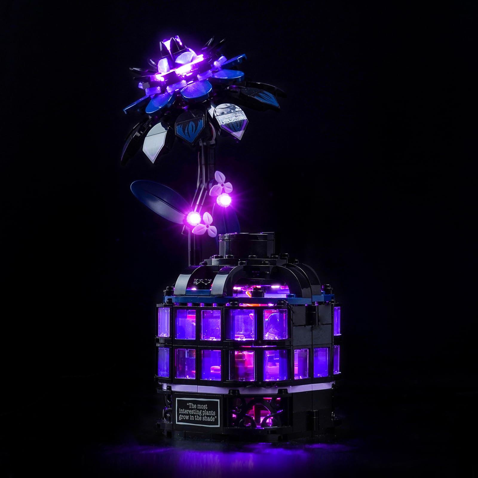 Light Kit Compatible with Lego Black Dahlia Flower 76784 (No Model), Decoration Lighting Set Compatible with Lego Black Dahlia Flower Creative Toys