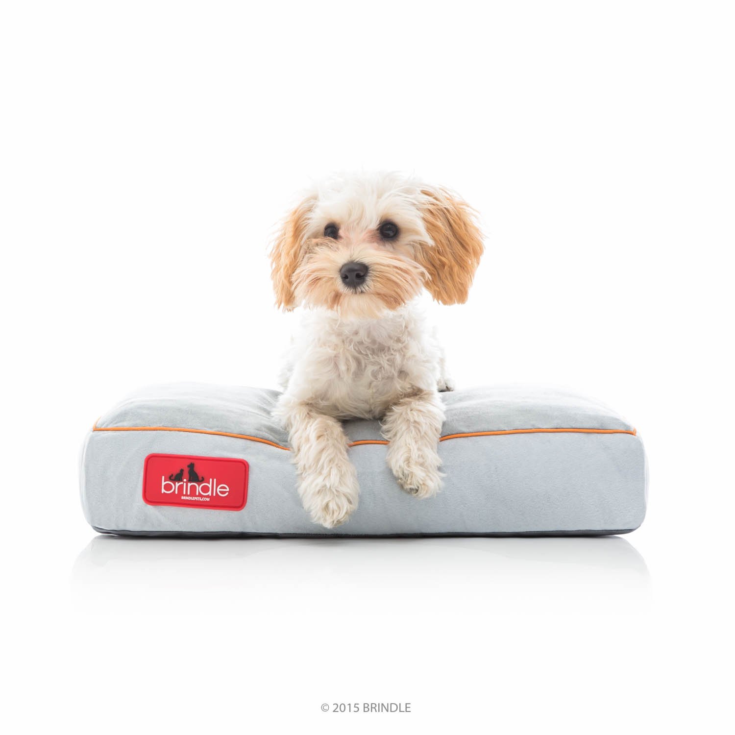 Brindle Soft Memory Foam Dog Pet Bed Removable Washable Cover Comfy S/M