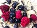 50% Nuts, Fruits and Seeds Muesli - No Sugar Added All Natural Muesli Cereal (Blueberry & Raspberry)