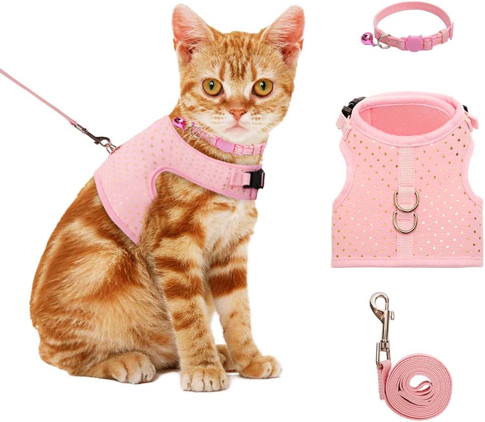BINGPET Cat Harness and Leash for Walking Escape Proof, Adjustable Pet