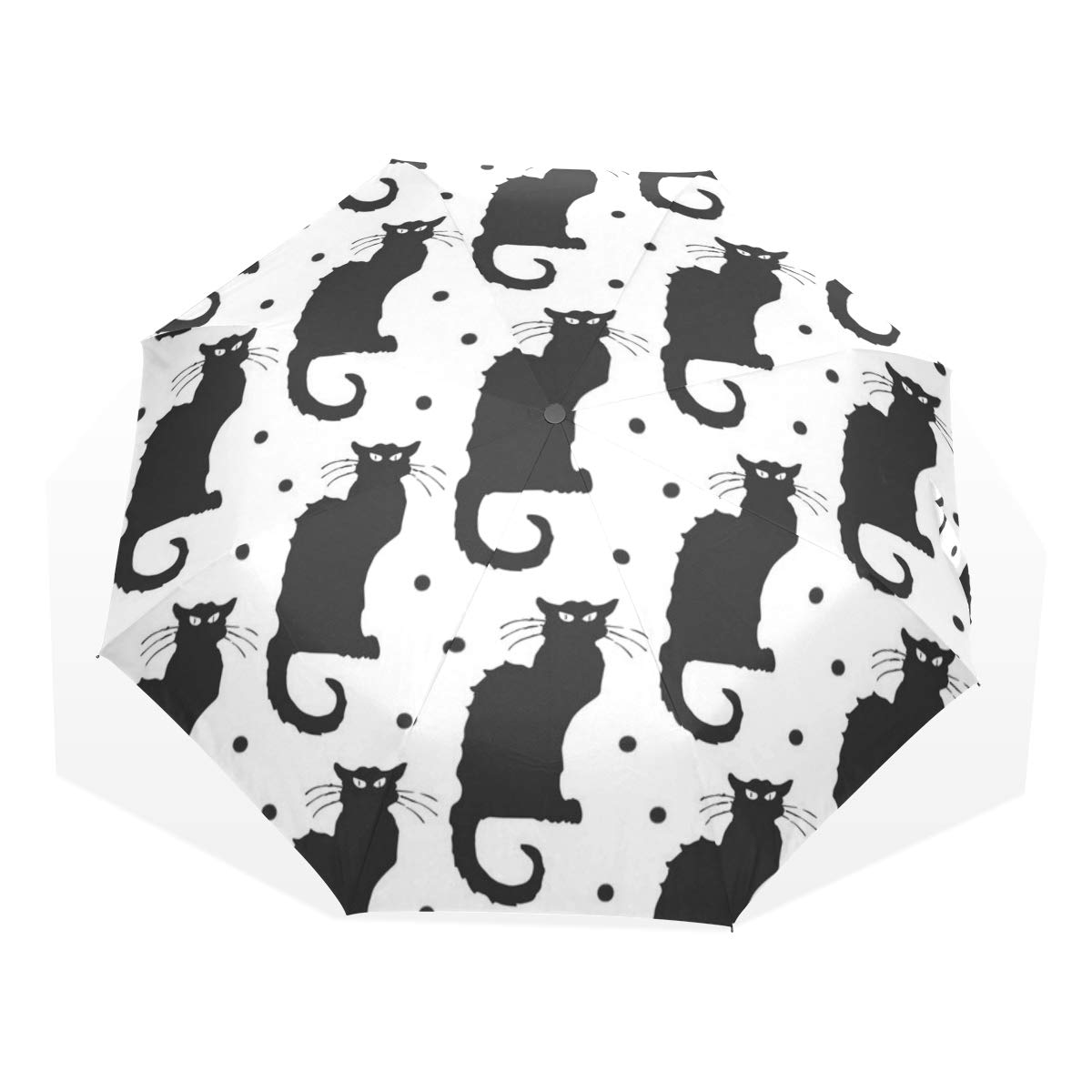 Amazoncom Le Chat Noir Black Cat On White With Dots