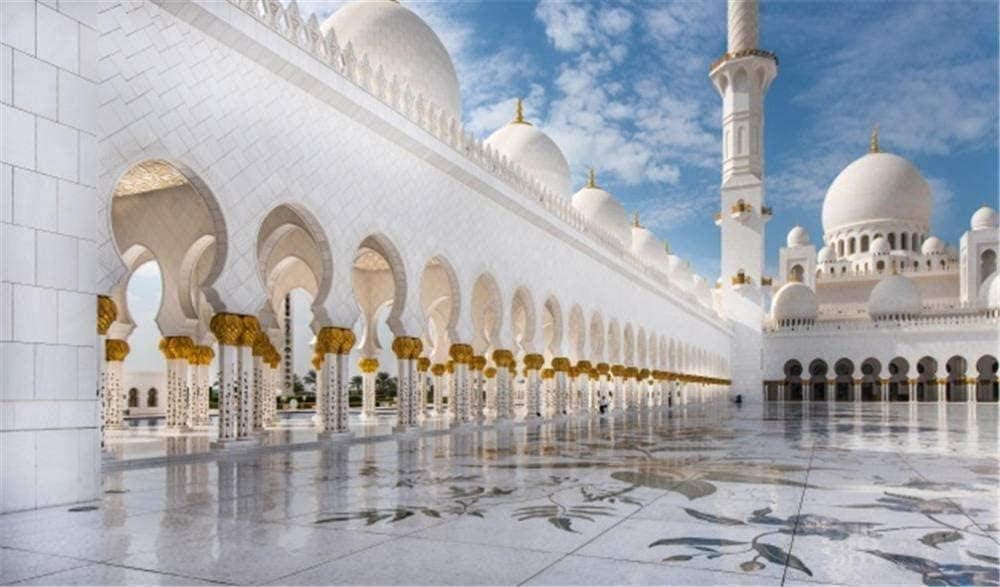 PeaksVision Jigsaw Puzzles 1000 Pieces for Adults Building Landscape Abu Dhabi Grand Mosque Educational Games, Brain Challenge Puzzle Toy
