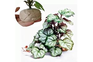 KERUIDENG Reptile Plants for Terrarium Decor,Amphibian Habitat Decor,Artificial Plants for Gecko Chameleon Snake Tortoise Tank Accessories with Base (Green heuchera micrantha)