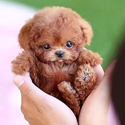 Guegalls 2025 New Ai Robot Dog - My Smart Realistic
