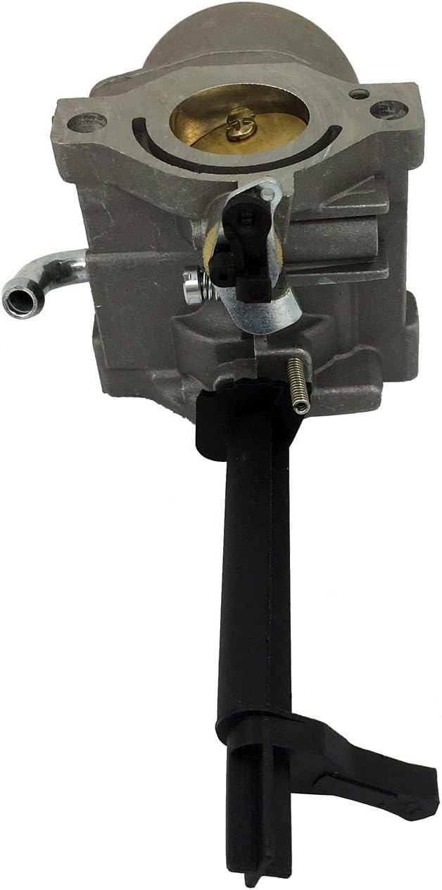 HOOAI 591378 Carburetor for Briggs & Stratton 697978 796321 696132 696133 796322 697351 699958 699966 698455 695918 694952 695919 695330 796323 695920 695328 : Garden & Outdoor