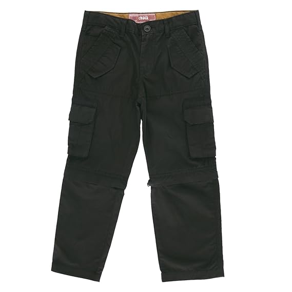 pantaloons cargo pants