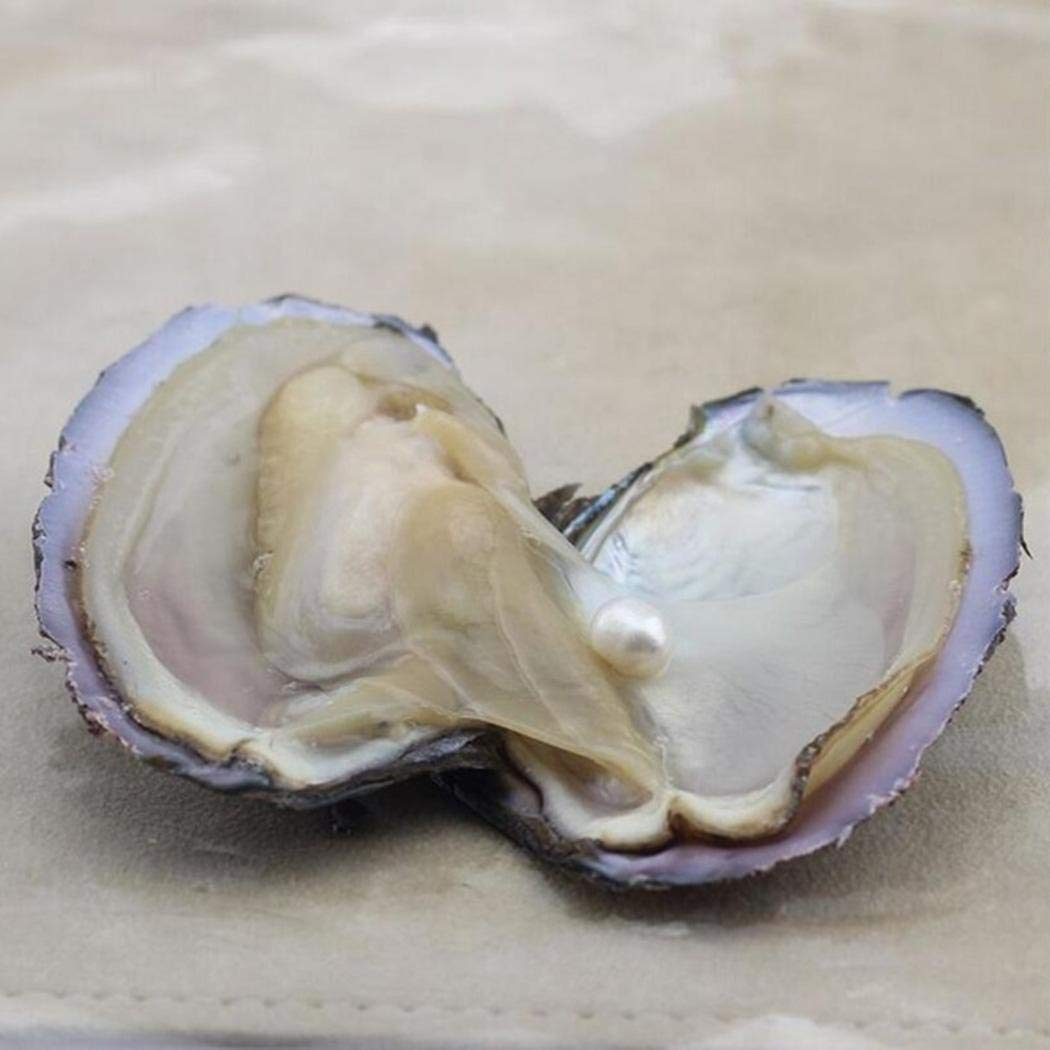 Banlany Vacuum Packaging Mussel Oyster Drop Pearl Pendant Pearls Hanging Jewelry Organizers