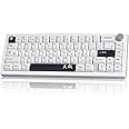 SUEHIODHY GMK67 White Japanese Mechanical Keyboard Hot-Swappable Bluetooth/2.4G/Type-C 65% Custom RGB Keyboard with Linear Lubed Switches VIA Programmable Volume Knob for Win/Mac/iOS
