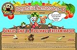 25 Million Live Beneficial Nematodes Sf - Fungus Gnat/Rootknot Gall Exterminator