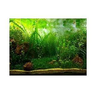 3d Effect Adhesive Seaworld Poster Background Decorative Paper For Aquarium Fish Tank Aquarium Background Poster 122