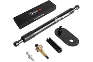 KitsPro Truck Tailgate Assist for Dodge Ram 1500 All Models 2009-2018, 1500 Classic Models 2019-2024, and 2500 3500 All Models 2010-2024 Truck Accessories Tailgate Damping Strut, Pack of 1