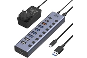 LIONWEI Powered USB 3.1 Hub, 10 Port USB Splitter 10Gbps USB 3.1 Ports with 60W (12V/5A) Power Adapter, Type A and Type C Cables, Individual ON/Off Switches, USB Hub Splitter for PC and Laptop