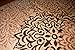 Feraghan/New City Brand New Contemporary Modern Floral Flowers Area Rug, 2' x 3', Brown/Beige
