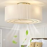 YADZSLY 20" Caged Low Profile Ceiling Fan with Light, Flush Mount Boho Ceiling Fan with Light Remote Control, Bladeless 6 Spe