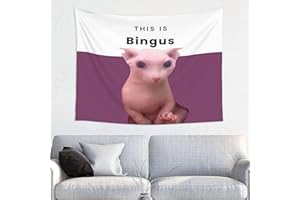 LWIEF This Is Bingus Tapestry Funny Tapestrys 29x37in Meme Tapestries Wall Hanging Art Poster For Bedroom Living Room