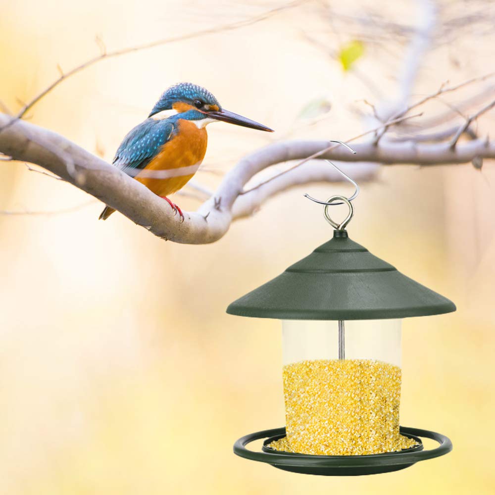 View 4