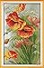Cross Stitch Embroidery Starter Kit including 14 Count 13