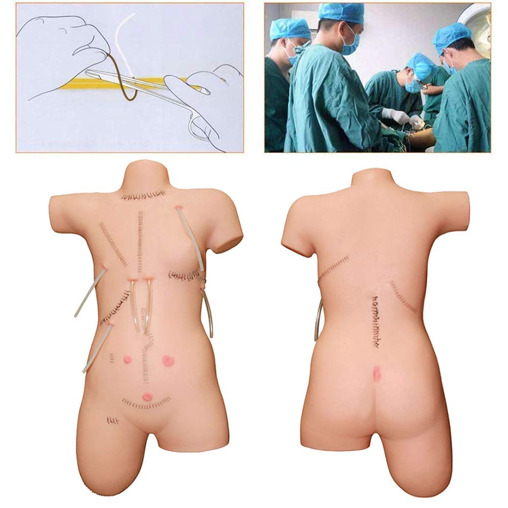 Buy GHDE MD Surgical Skills Training Manikin Simulation Suturing Model 