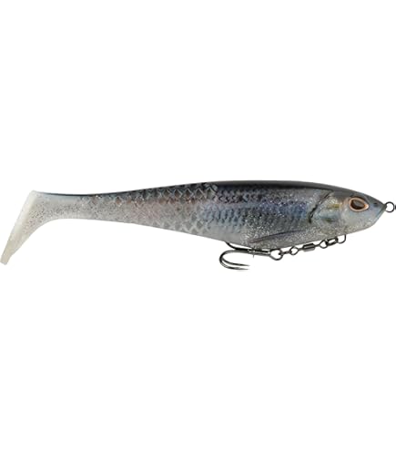 KARASHI - GP Flying GORI : Amazon.ca: Everything Else