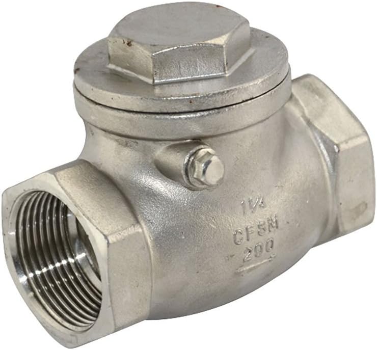 1-1/4" 1.25" Swing Check Valve Stainless Steel SS316 CF8M NPT WOG200