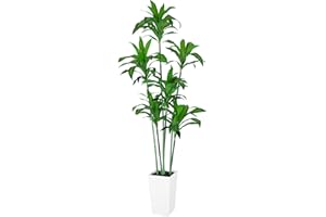 VIVATREES Dracaena Trees Artificial Indoor, 7FT Tall Faux Tree with White Tall Planter, Artificial Plants with Natural Wood Trunk and Lifelike Leaves for Home Office Decor