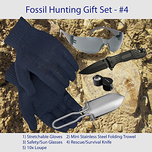 Fossil Hunting Tool Kit