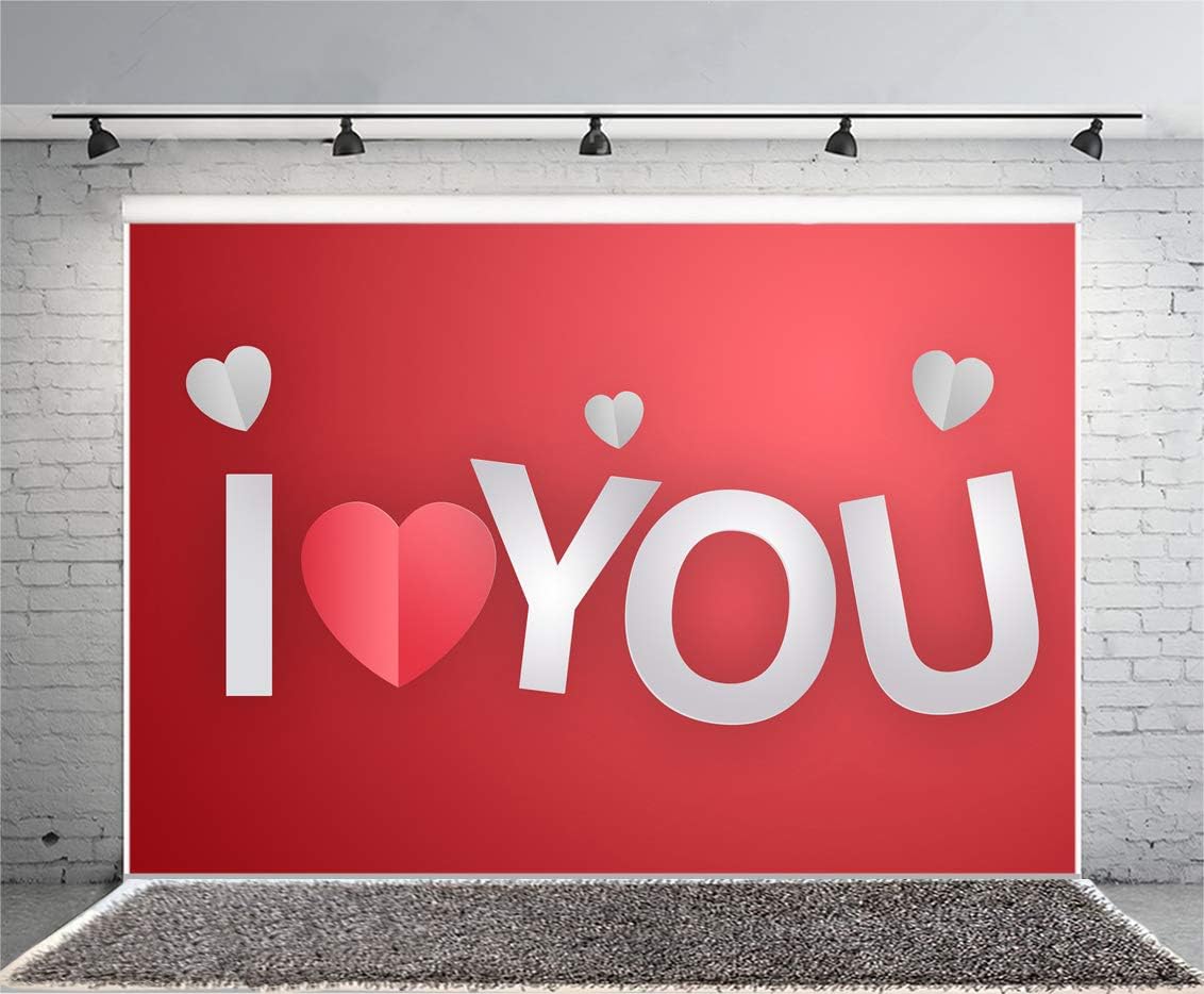 Amazon Com Leyiyi 10x8ft Heart Shape Banner Photography