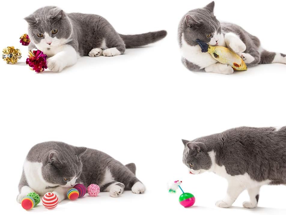 HIPIPET 21PCS Cat Toys Interactive Kitten Toys Assortments Tunnel Balls Fish Feather Teaser Wand Mice : Pet Supplies
