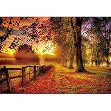 Usstore  5D Diamond Painting Full Drill,Handwork Perspective DIY Diamond Painting Cross Stitch Pictures Arts Craft Scenery for Home Decor Bedroom Living Decor Gift (E)