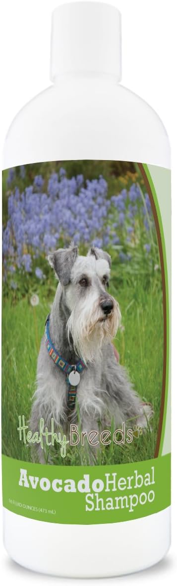 miniature schnauzer itchy skin