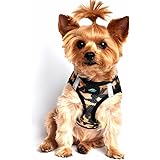 doggie design mesh harness