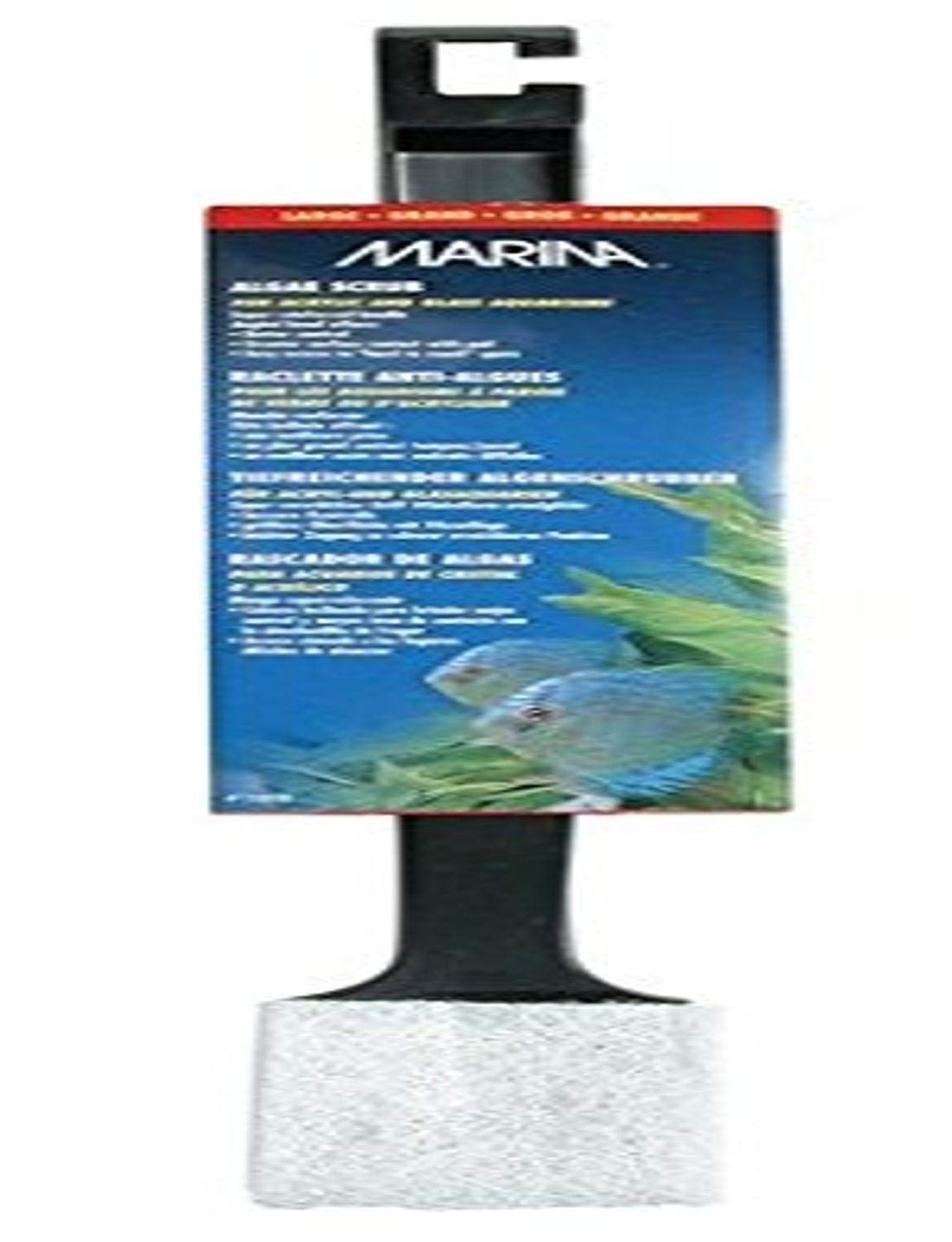 MARINA (A1018) Algae Scrub - Large