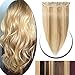 16 Human Hair Clip in hiGHLIGHT 18613