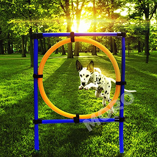 ZOIC Pet Dogs Outdoor Games Agility Exercise Training Equipment Jump