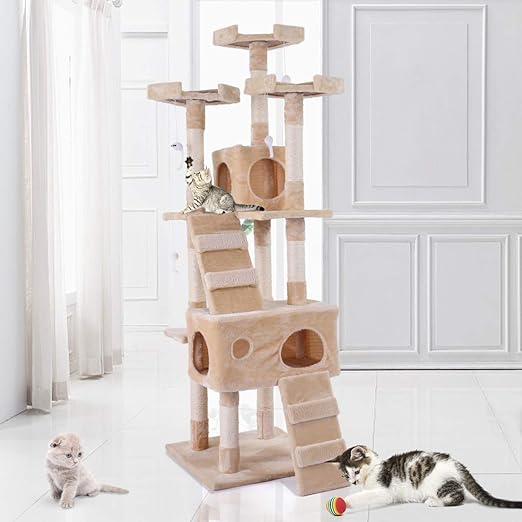 kitty condo