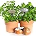 Red Tail Crafters Oval T-Top Herb Garden 08in Metalgraph Stakes Plant Markers 10/set Copper