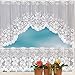 Hot Sale!DEESEE(TM)2PCS Lace Coffee Cafe Window Tier Curtain Set Kitchen Dining Room Home Decor Lot (D)