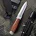 Grand Way Hunting Knife - Fixed Blade Survival Bowie Stainless Steel Knife with Wood Handle - 2654 WP