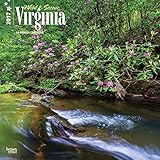 Virginia, Wild & Scenic 2017 Square by BrownTrout (2016-06-25) by 